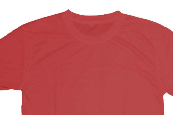 Men Round Neck Lycra T-shirt Brick Red-MTS2000094